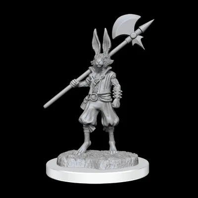 D&D Unpainted Mini