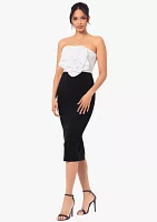 Women's Strapless Two Tone Dress