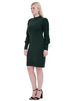 Women's Long Sleeve Mock Neck Solid A-Line Dress