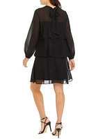 Women's Mesh Long Sleeve Solid Ruffle A-Line Dress