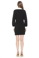 Velvette Button Down Dress