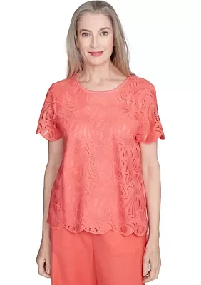 Petite Catalina Island Lace Texture Top