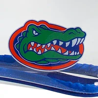 NCAA University of Florida Large Crossbody