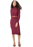 Petite Long Sleeve Turtleneck Dress