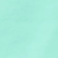 Alice Seamless Hipster Panty