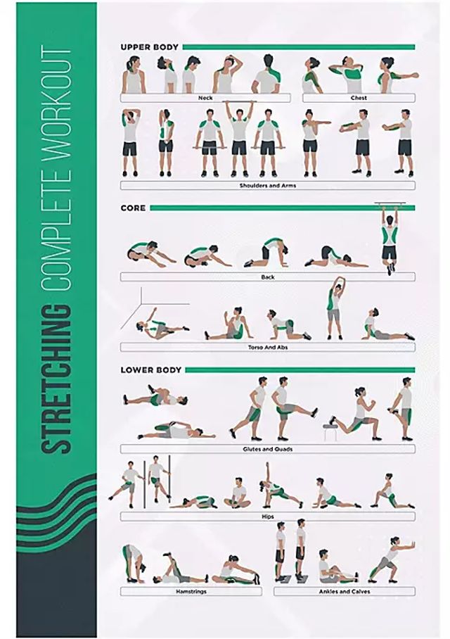 neck exercise chart