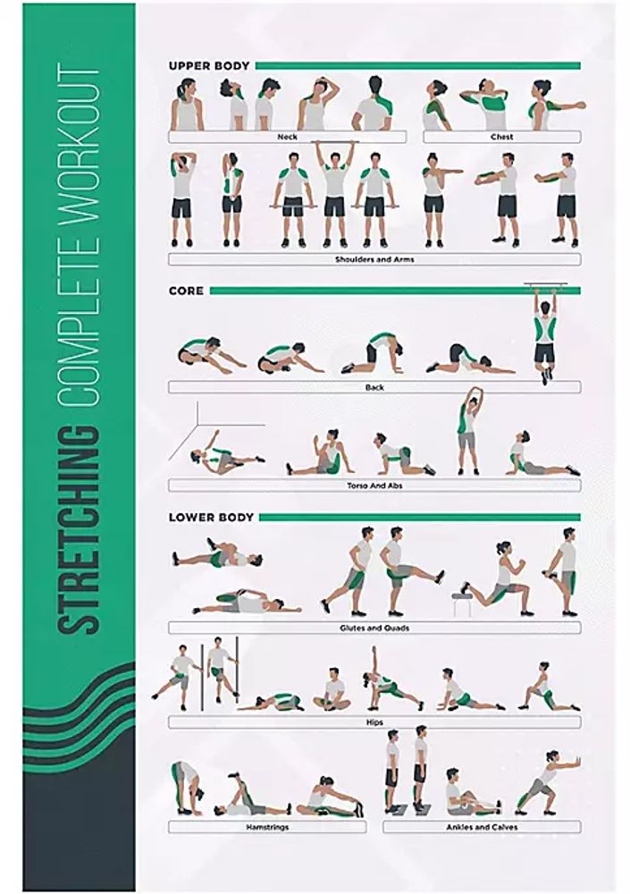 basic stretching chart