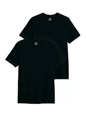 Big & Tall 2Pk Crew Neck T-shirt