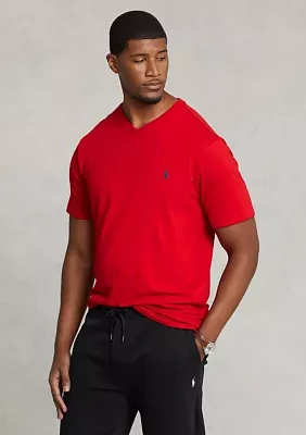 Big & Tall Cotton Jersey V-Neck T-Shirt