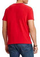 Big & Tall Cotton Jersey V-Neck T-Shirt