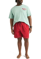 Big & Tall Quick Dry Swim Trunks