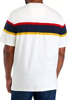 Big & Tall Short Sleeve Stripe T-Shirt