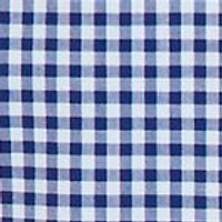 Classic Fit Gingham Stretch Cotton Shirt