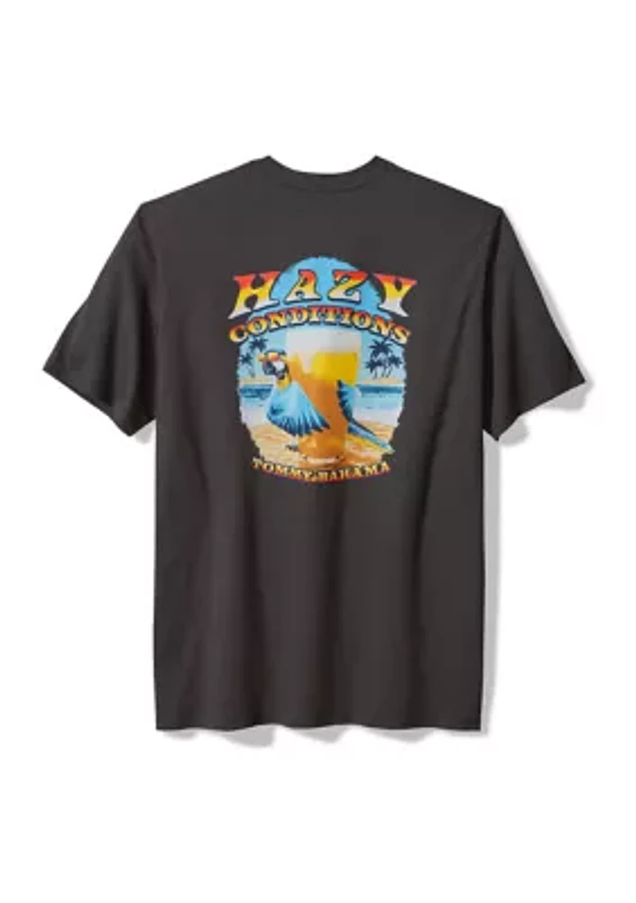 Big & Tall Short Sleeve Hazy Conditions Graphic T-Shirt