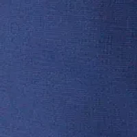 Blue Tonal Solid Sport Coat