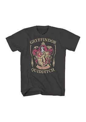 Big & Tall Gryffindor Harry Potter Graphic T-Shirt