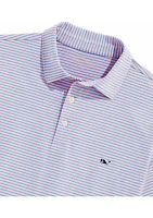 Striped Polo Shirt
