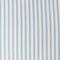 Micro Stripe Shirt