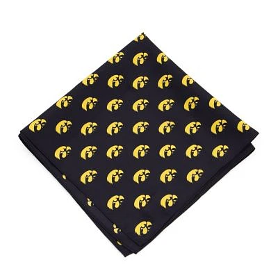 KENTUCKY KERCHIEF PS