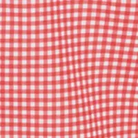 Frat Gingham Check Button-Down Short Sleeve Shirt