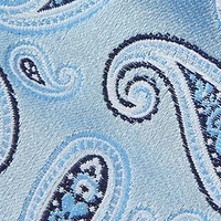 Spaced Paisley Printed Tie