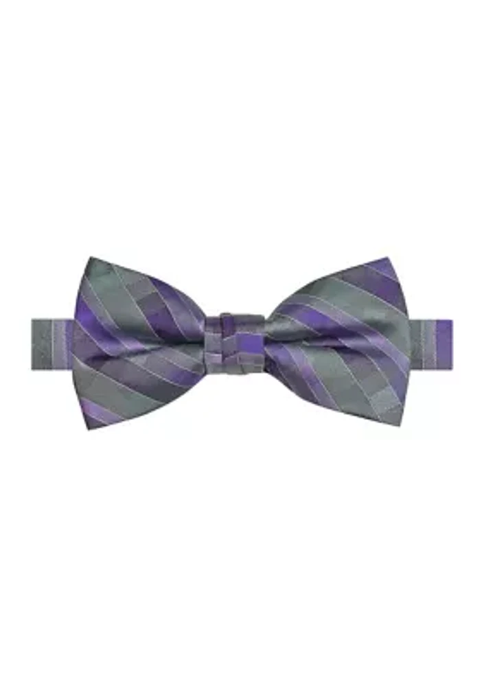 Men's Multi Stripe Printed Bowtie