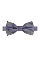 Men's Multi Stripe Printed Bowtie