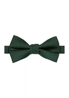 Stripe Pre-Tied Bowtie 