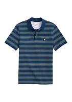 Men's Variegated Stripe Polo Shirt