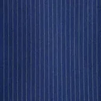 Stripe Suit Coat