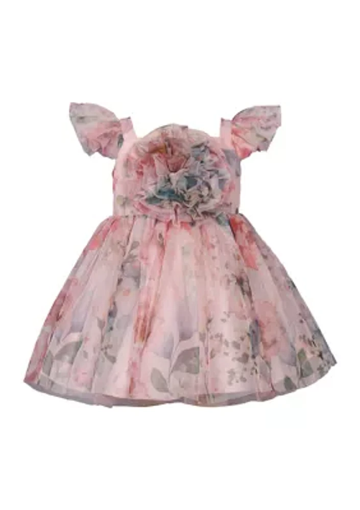 Toddler Girls Floral Printed Mesh Dress with Ruched Bodice