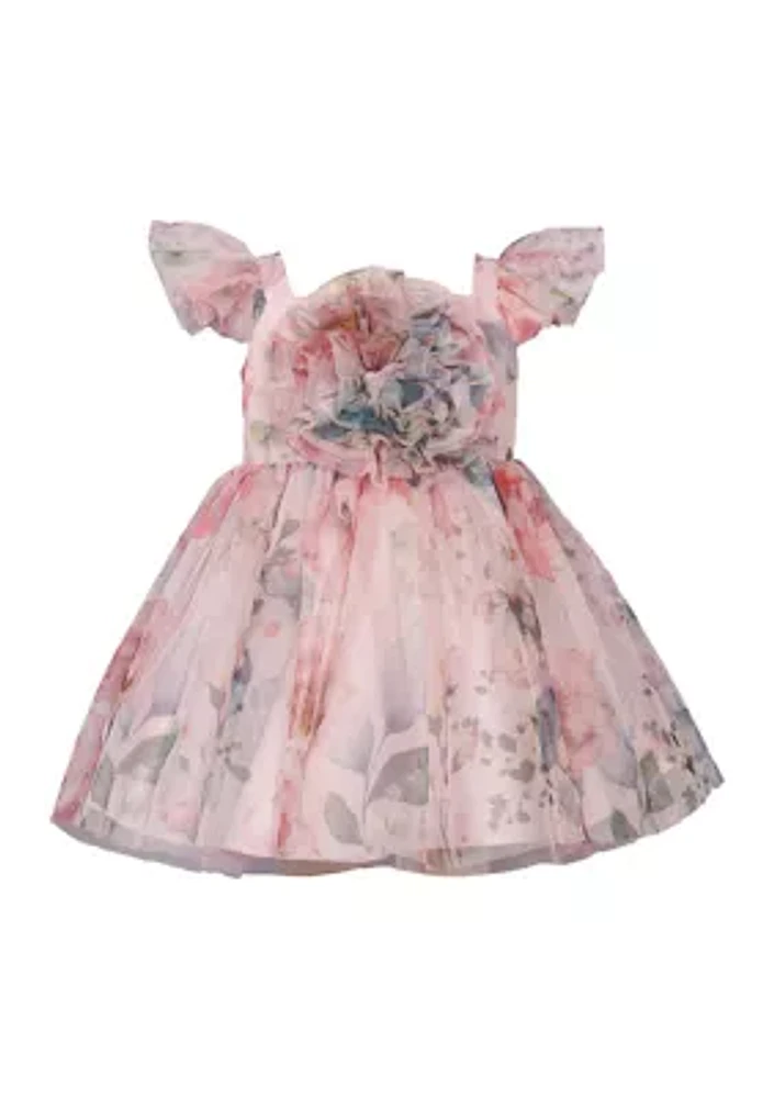 Baby Girls Floral Mesh Dress with Ruched Bodice