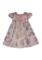 Toddler Girls Embroidered Jacquard Dress