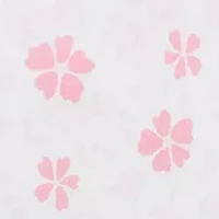 Petals Receiving Blanket - 2 Pack