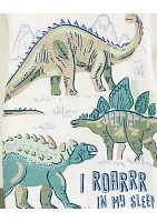 Toddler Boys Dinosaur Printed 4 Piece Pajama Set