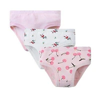 Cherries 3 Pack Underwear