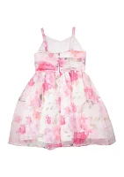 Girls 4-6x Floral Organza Overlay Dress