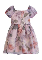 Girls 4-6x Floral Organza Puff Sleeve Dress