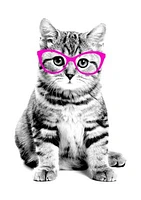 Girls 4-6x Glasses Cat T-Shirt