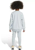 Girls 4-6x 2 Piece French Terry Crew Neck Pullover and Leggings Set