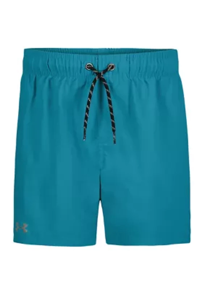 Boys 8-20 Crinkle Volley Swim Trunks