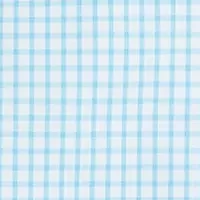 Boys 4-7 Poplin Gingham Printed Button Down Shirt