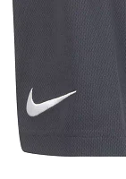 Boys 8-20 Swoosh Shorts