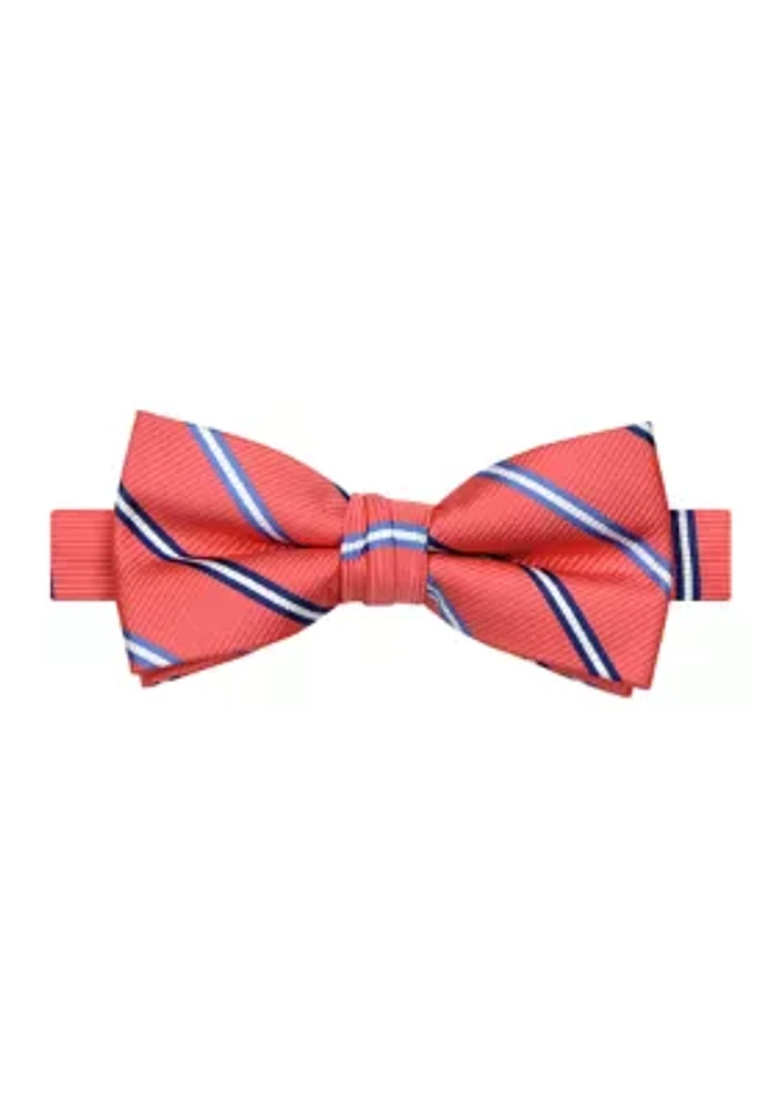 Boys Simple Stripe Bowtie