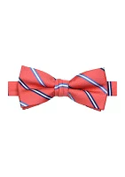 Boys Simple Stripe Bowtie