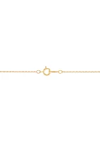 1/4 ct. t.w. Diamond Solitaire Necklace in 14K Gold with 18" Rope Chain