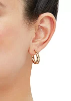 Double Rows Tube Hoop Earrings in 10K Yellow Gold