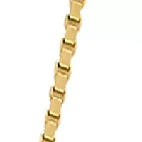 Chain Necklace in 14K Yellow Gold