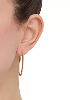 Oval Tube Hoop Earrings in Sterling Silver