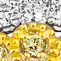 1/2 ct. t.w. Sunny Yellow Diamonds®, 1/3 ct. t.w. Vanilla Diamonds® Earrings in 14K Two Tone Gold